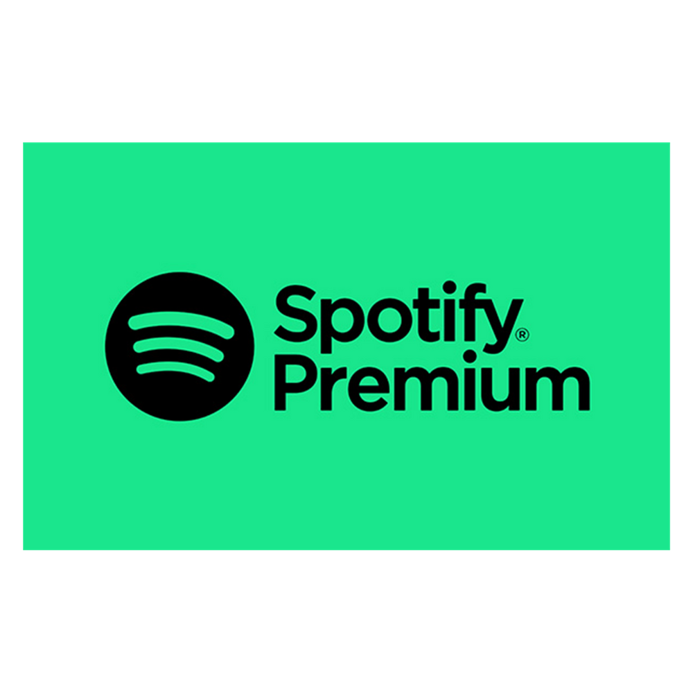 e-code Premium Spotify Pointup Monate - 3